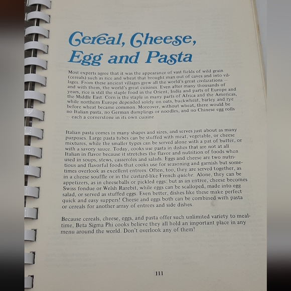 Vintage Beta Sigma Phi Cookbooks 1970's Lot Fondue & International Recipes - Picture 14 of 15